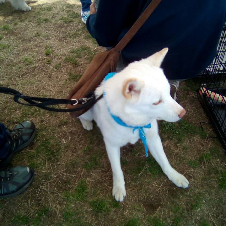 3f863d2c 5e19 4f26 8c72 e3fbab457b1c