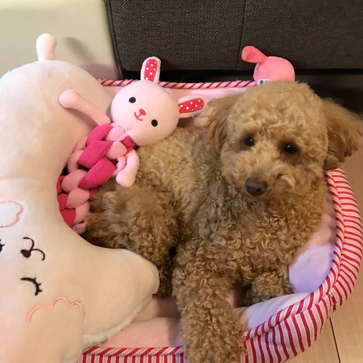 3f86624e 4c21 4056 a261 e1fafaf4a90b