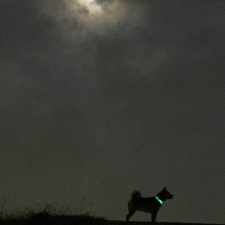 3f869ee9 9833 4b6e 85cb 7cab4e8deeeb