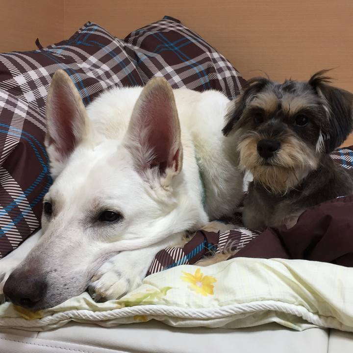 3f86ce24 2475 47f0 a372 1bf1fc9a3848