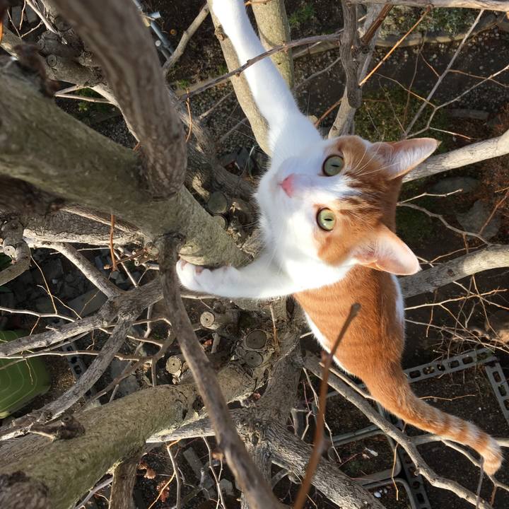 3f87139d bca4 44c2 bc87 a89684836a4e