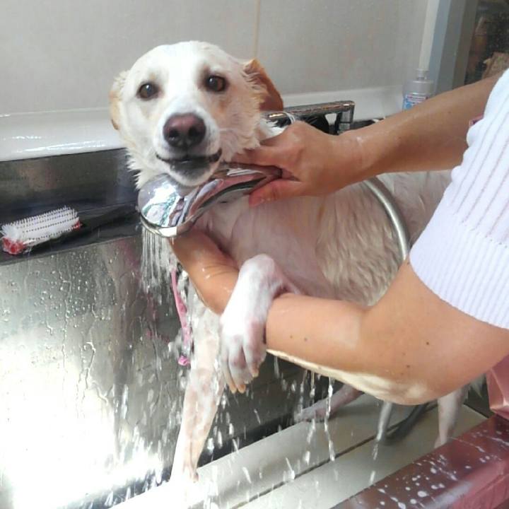 3f8728c8 47ae 493d 85c1 8b6fd18d1d31