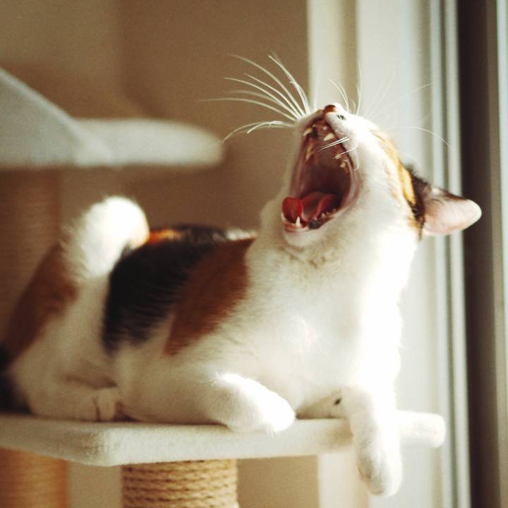 3f878326 2acf 4693 9513 64a81af63f3e