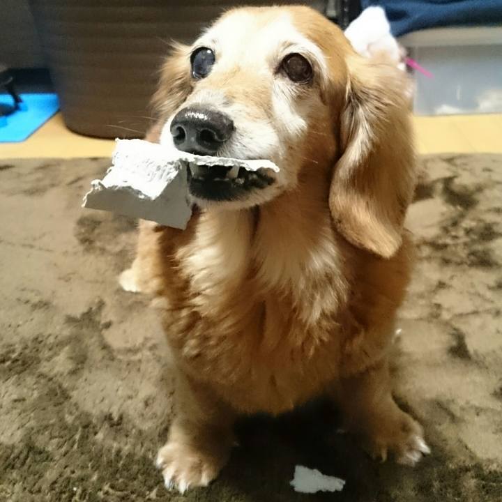 3f879dc8 9d68 499c bc2d 37210db8abee