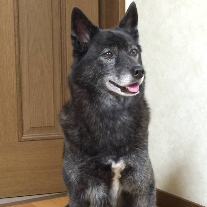 3f87af9d e477 4a60 a1f8 017219796c8a