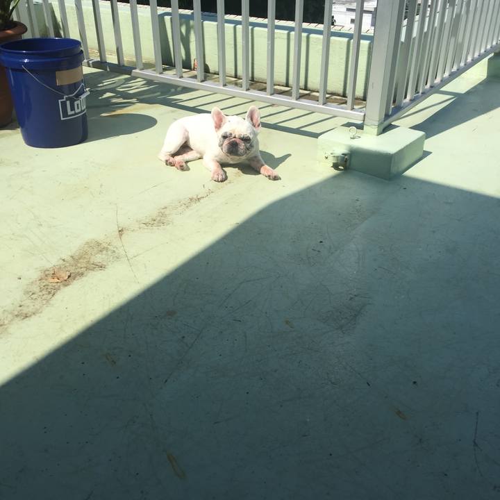 3f8803a4 3339 4d2f 804b fb6b1c45633b