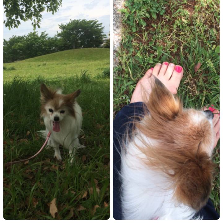 3f88254a 05d9 4658 b281 1cb5c8799eeb