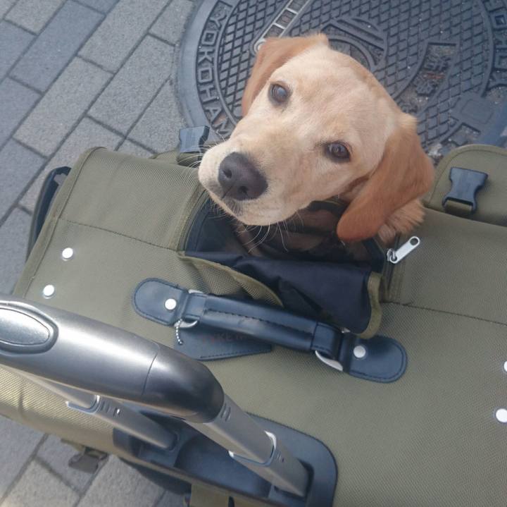 3f88353e ab52 4f87 b642 7edcaabb74be