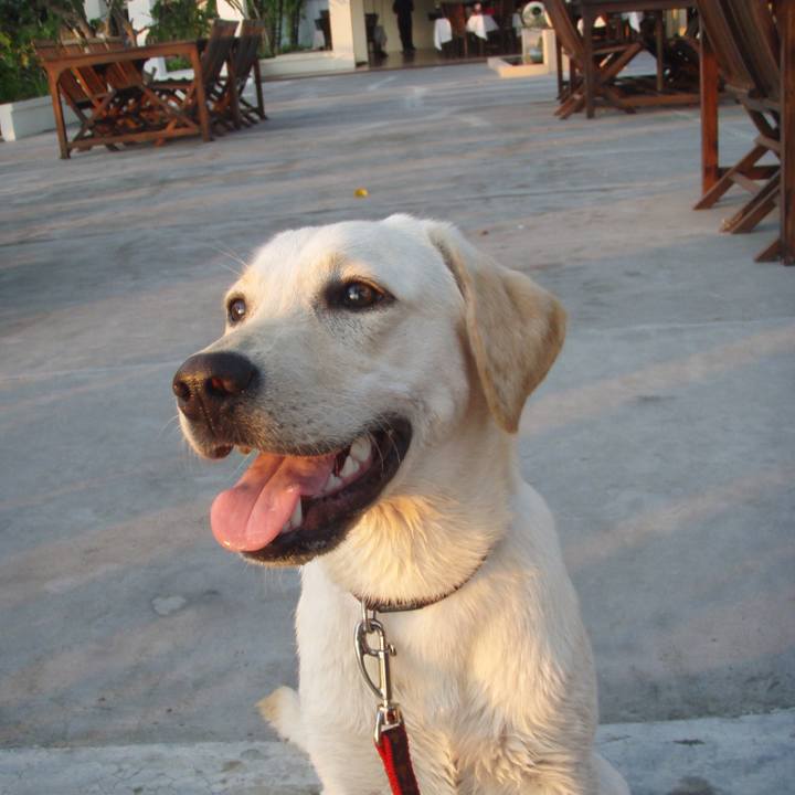 3f88cbe2 ee42 4660 ad94 6f4237b79072