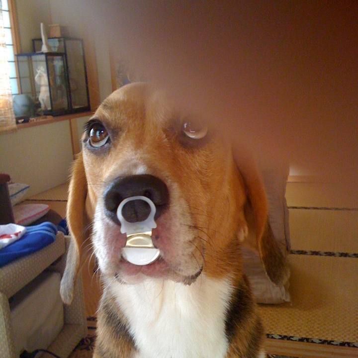 3f88ded1 e86a 497b 991f e5f57e4aa205