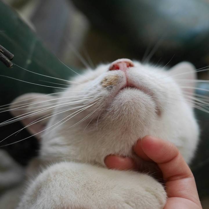 3f89095b 7458 43ec 9468 f432ea68488f