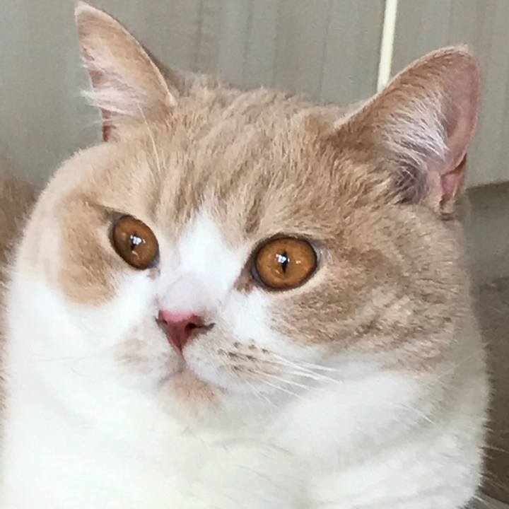 3f897cb7 05fd 4979 b30c 928c885f8c44