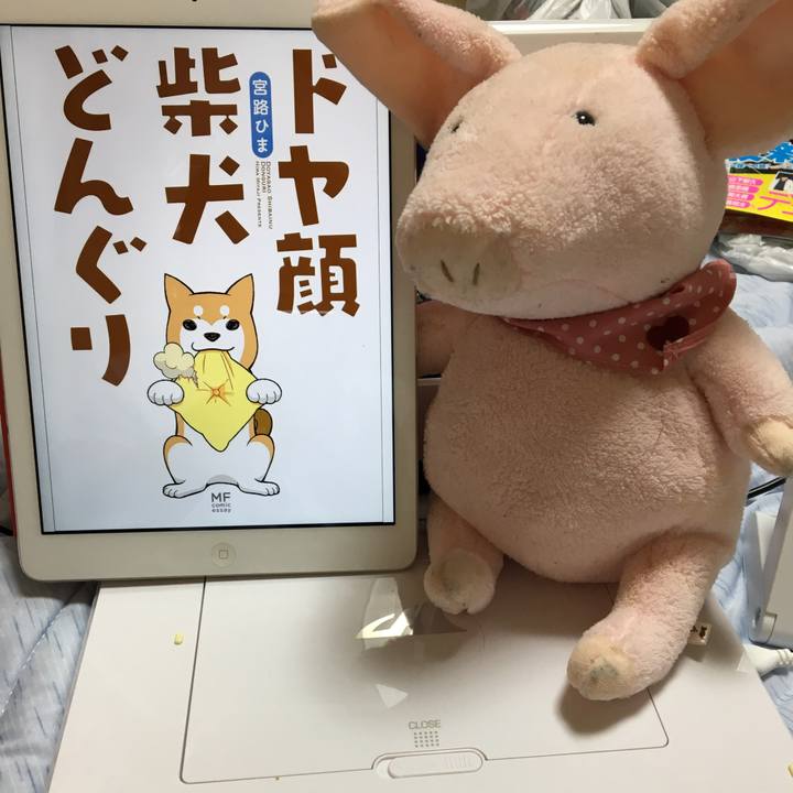 3f89f421 686f 467a 8144 887ed354c904