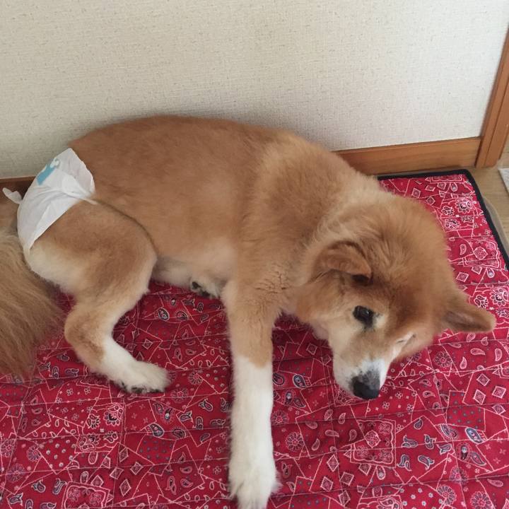 3f89fb45 bdd0 4cf2 b259 d9be7cd0aa30