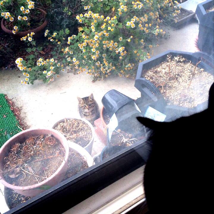 3f8aa6b6 1132 4324 b31a 8fb6dea5b8d5