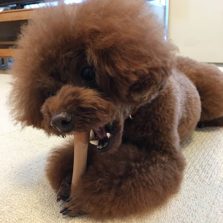 3f8b0cae dd0d 48ed 80bf c307b96efb10