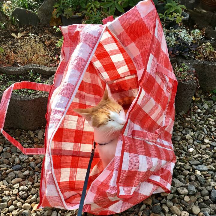 3f8b2635 710a 4f6e 9681 37a42a341388