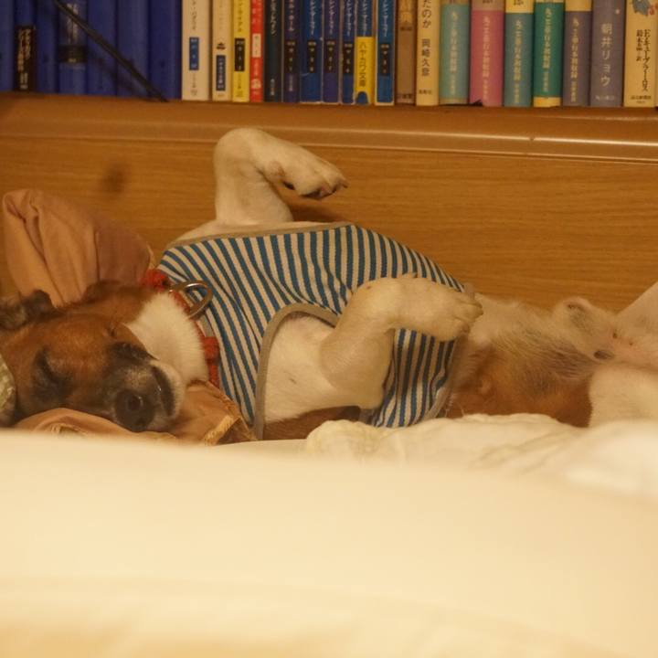 3f8c102c bff7 45a9 a3ec 10e7a5262468