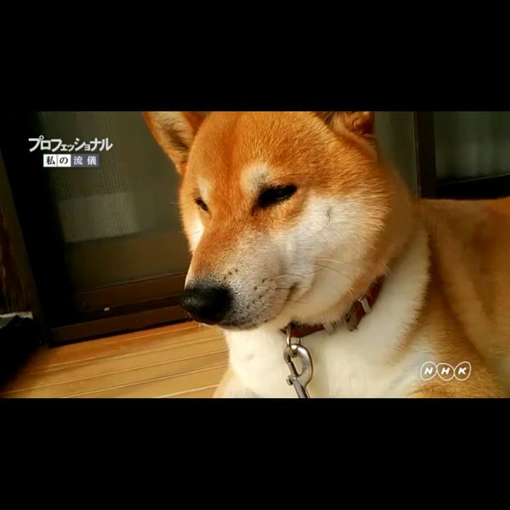 3f8c2792 816e 4eb1 9184 261b7843decf