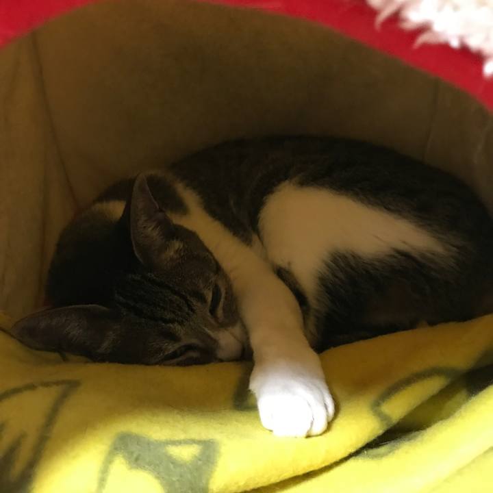 3f8c7d1f da30 411f acce c1fd69ed8520