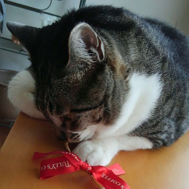 3f8c881d 37d2 4f59 8734 5b82d64a40fa