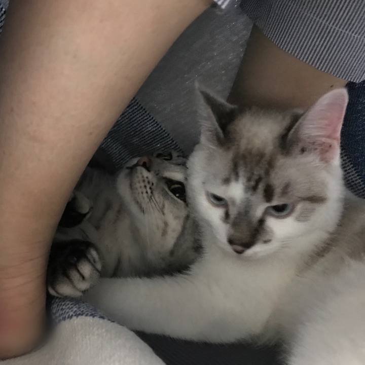 3f8cd2be d5e7 43d6 b517 fcfb5375f6da