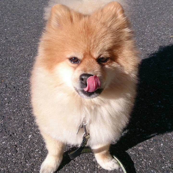 3f8cdf4f 07a6 4169 85da 6e05a239c927