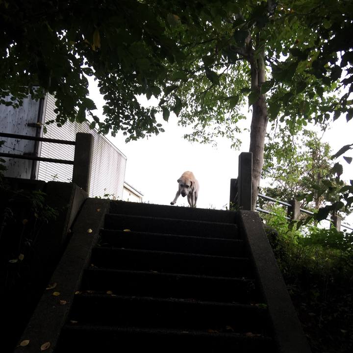 3f8d0879 34e6 43da b704 badc80f6598c