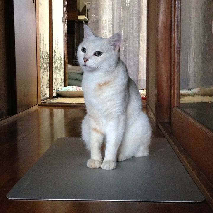 3f8d5594 7dbc 4690 aaf5 e0f660676ea5