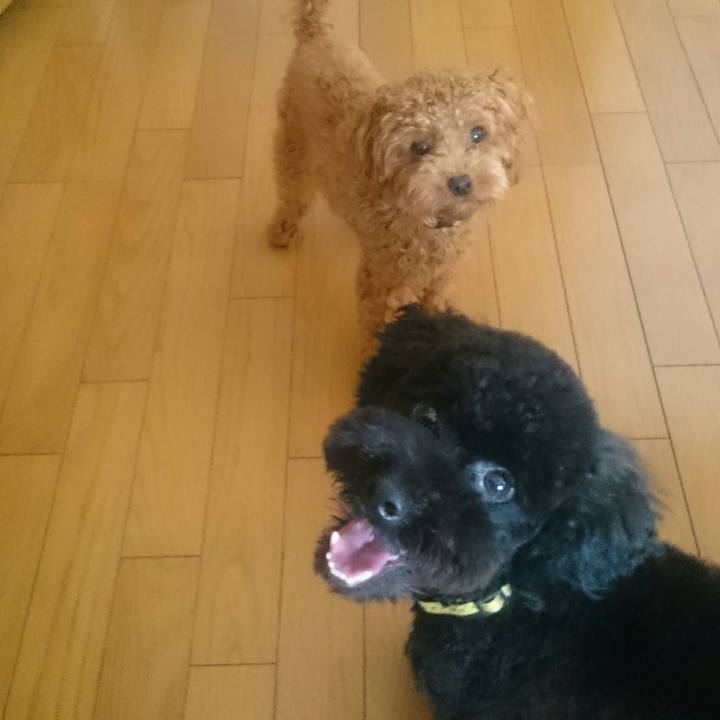 3f8e0118 d6ea 4f6d 82f1 4f764090a695