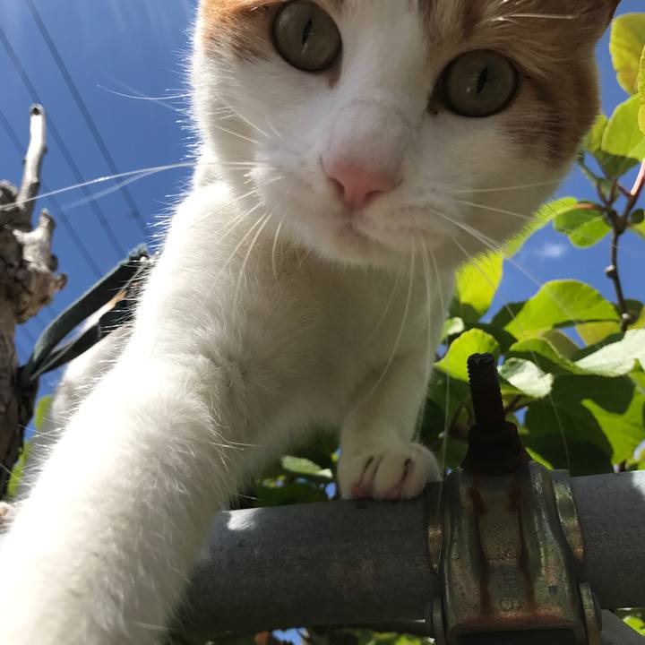 3f8f3859 826f 4b94 81bd 4373dbb3a5c5