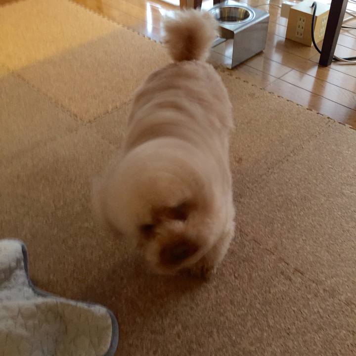 3f902188 6428 4dfc a5ca 4ae5dedf4bb1