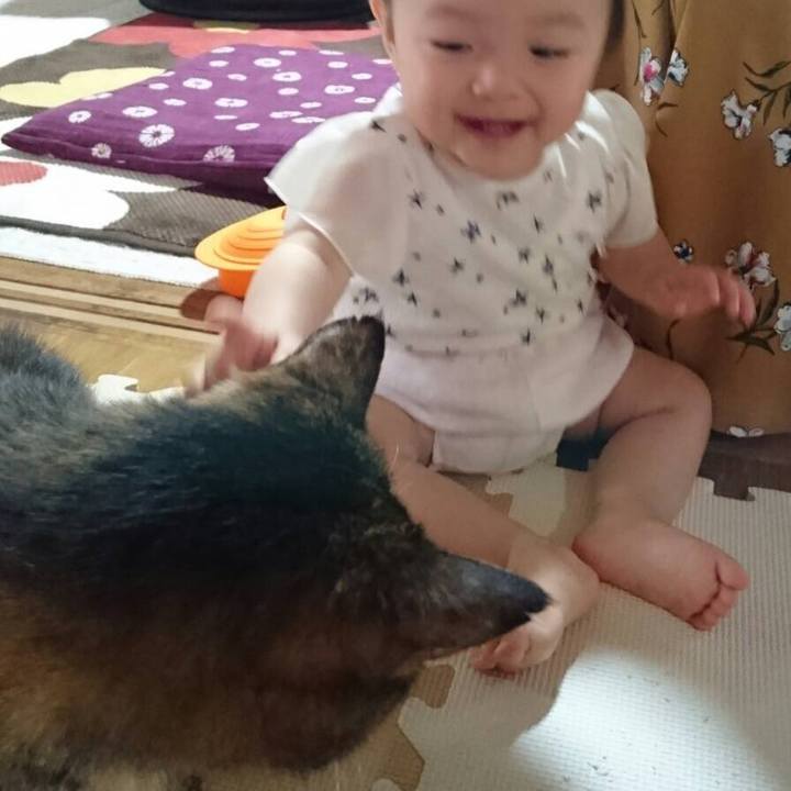 3f903014 3326 4909 a8db fddaecbfcc41