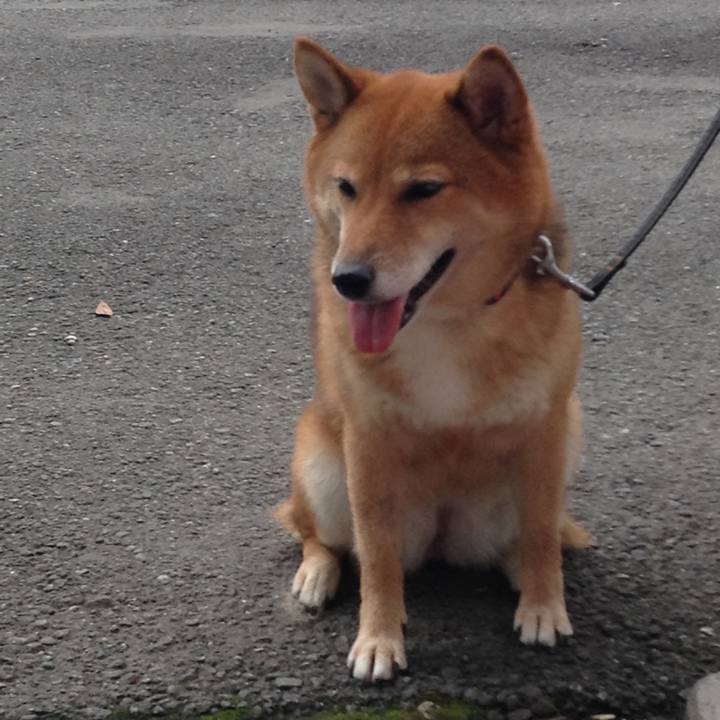 3f906699 e17e 490e 9467 5b75dae6cff8