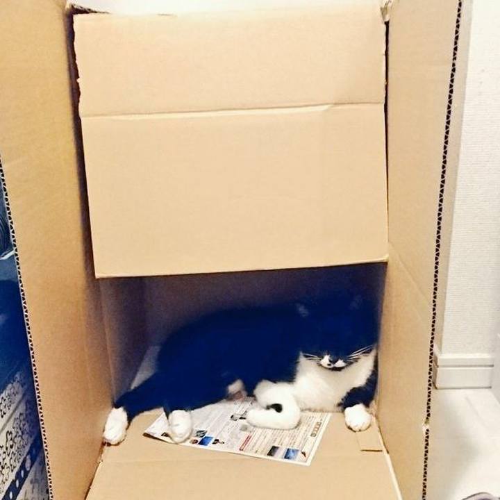 3f906981 17cb 4f3b 82fd fdb852dc6f99