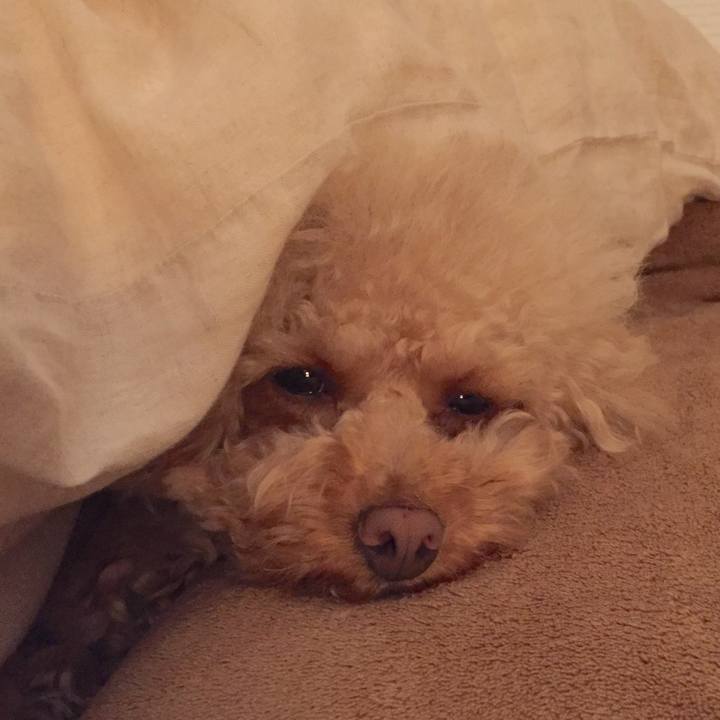 3f908dfc b5ba 435d a888 6c5cf6fd586e