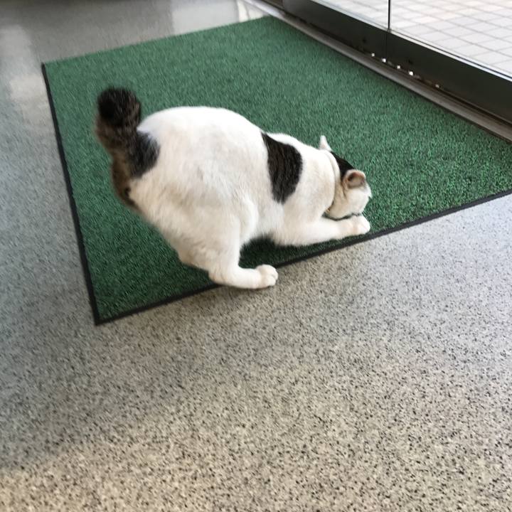 3f90ca12 5fce 4ee7 b02e df4a34eaa007