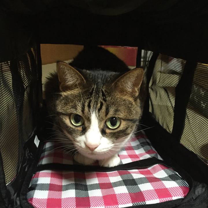 3f90deab 481c 4bb4 9c6a eba27990de6a