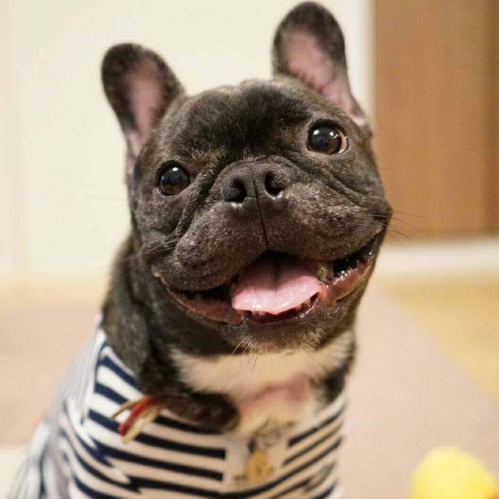 3f90e9e9 9107 4918 a1ac 16cd4d63fbe3