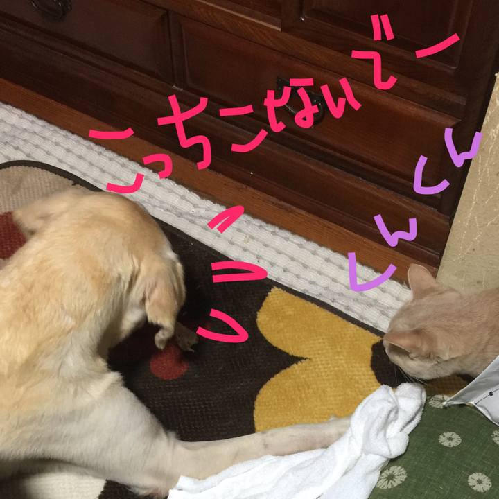 3f910d09 d808 498b b012 e4ed12fd7d90