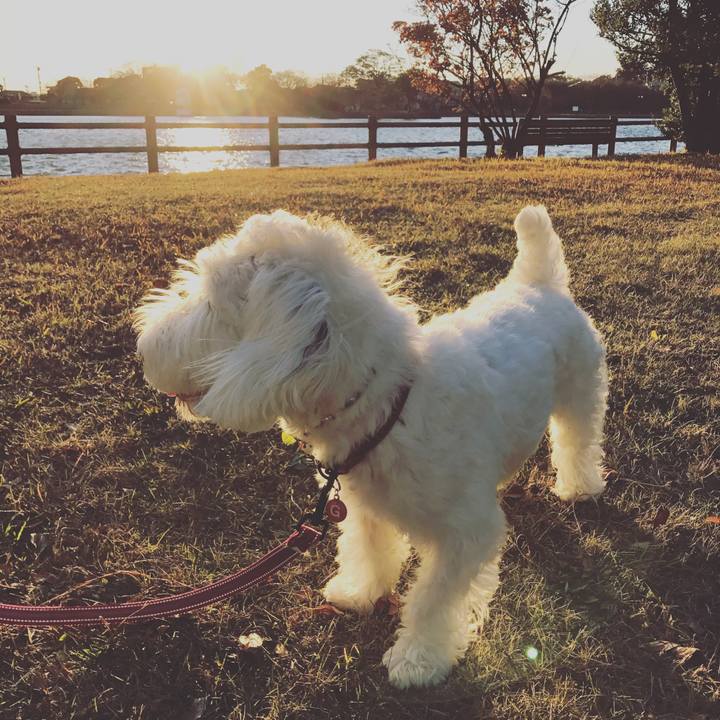 3f91193f 79e9 42a9 945a c292f0d163f0