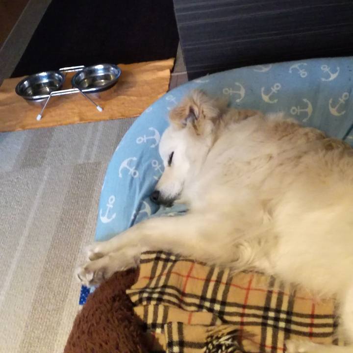 3f924acb 5981 47a5 b709 7e0af10ff8a9