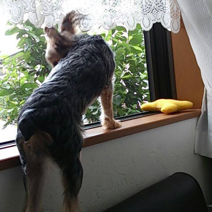 3f9278e9 9866 4a15 a820 0fd602d49e3e