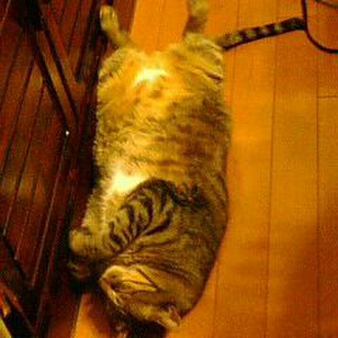 3f92ac86 8990 4092 83f7 2b4096d7d5b5