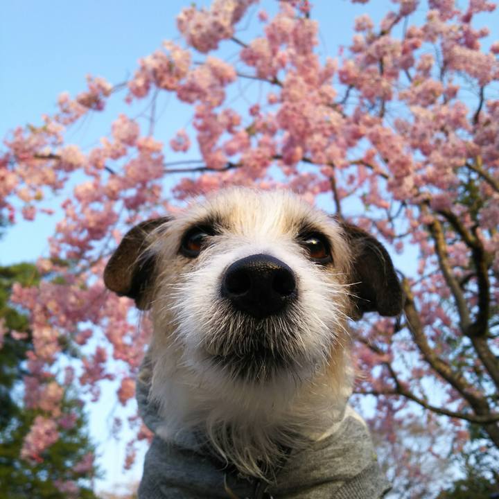 3f92aead c59c 4a01 831b 5e69d650042e