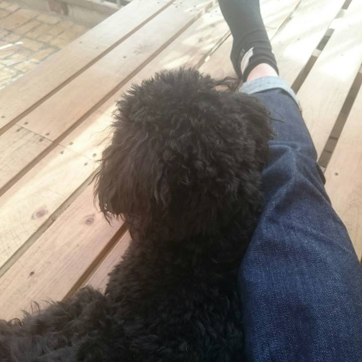 3f932293 1fe3 464d 86c4 b80d7fd00a3c