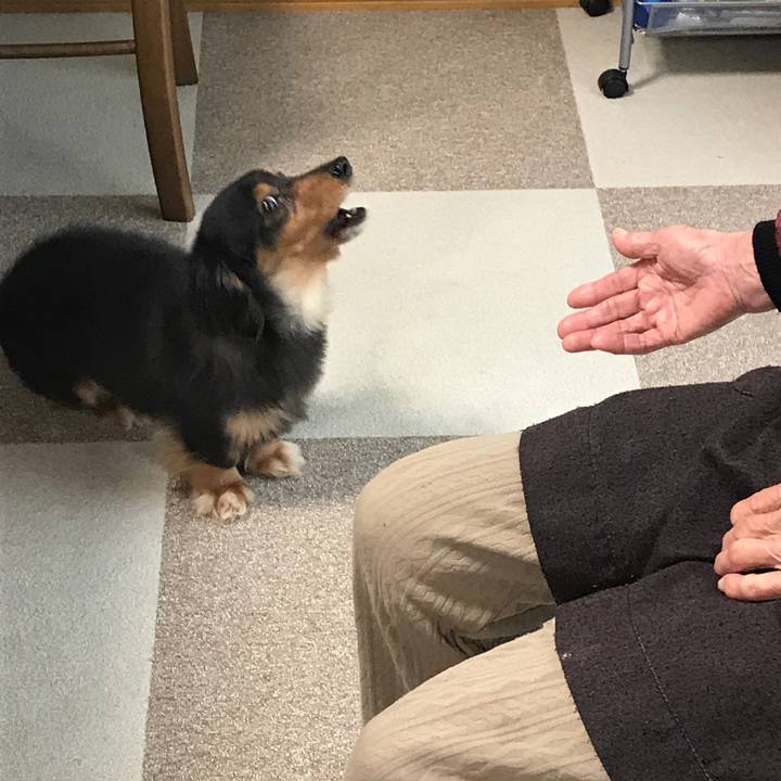 3f93abcb aa6a 45a3 a7c7 029c1e93bfe0