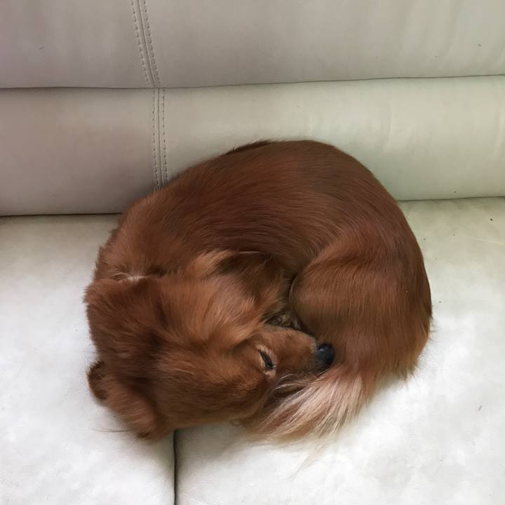 3f941a98 3d61 4597 ae70 7289180036f2