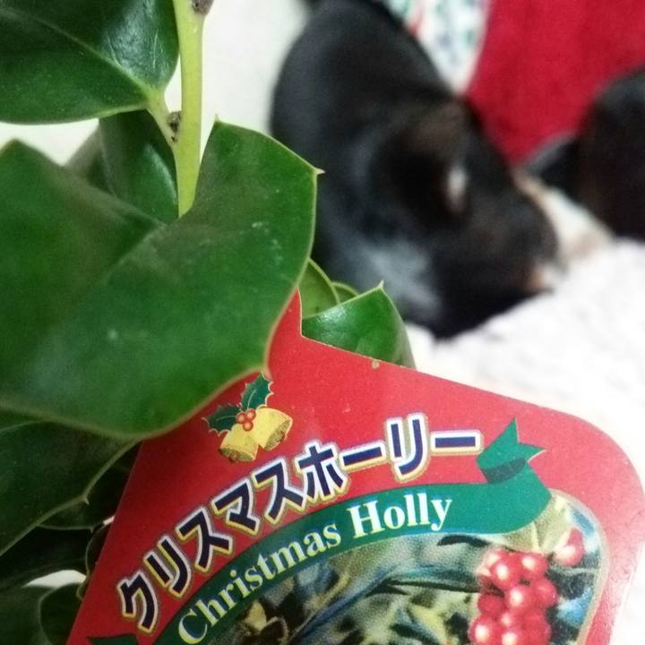 3f9431e9 8a8b 4633 b4f8 f35fdf37de44