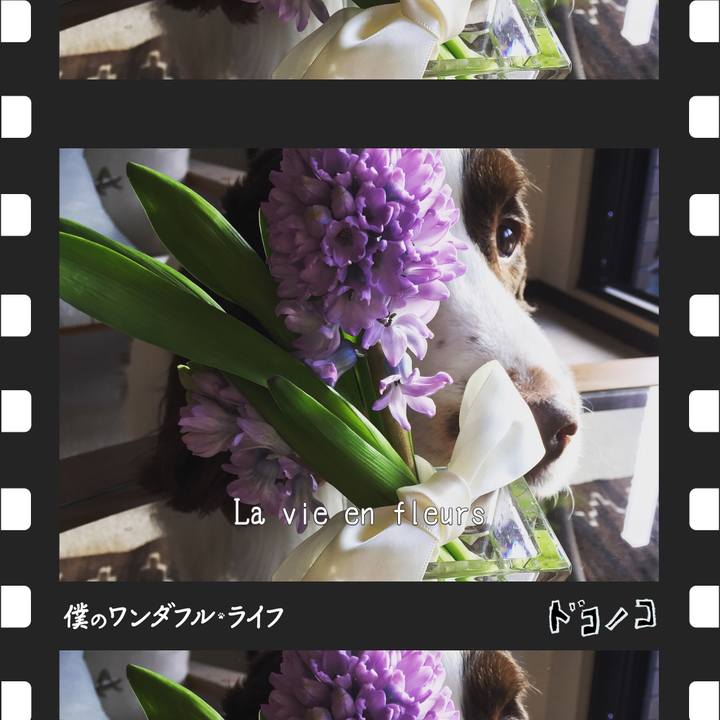 3f948caa 0181 4c2a acff 795638afb470